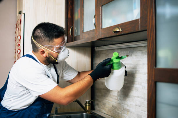 Best Pest Control Near Me in Mounds, OK