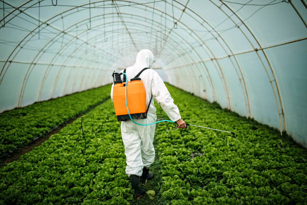 Best Affordable Pest Control Services  in Mounds, OK