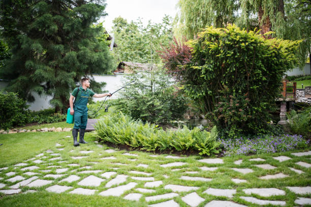 Best Local Pest Control Services  in Mounds, OK