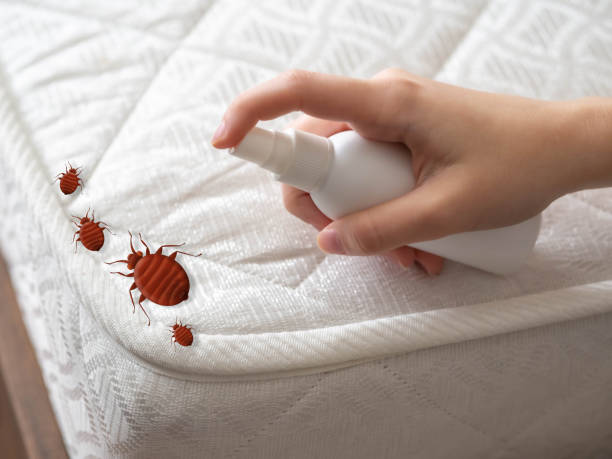 Best Insect Control  in Mounds, OK