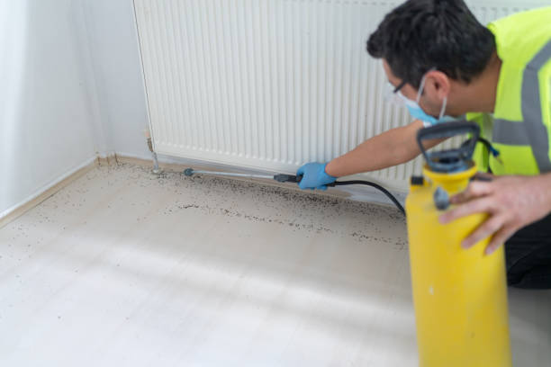 Best Pest Control Treatment  in Mounds, OK